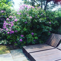 Hereford health blog: skin care in the sun