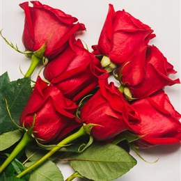 Hereford Beauty Blog Jan 20