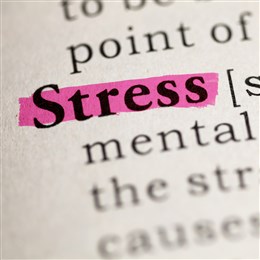 Stress Awareness Month - Simple Tips for Managing Stress